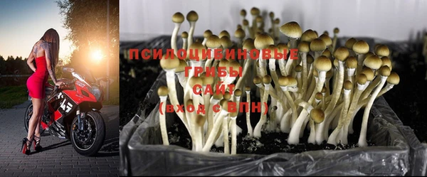 MESCALINE Нефтегорск