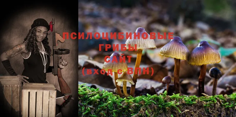 Галлюциногенные грибы Magic Shrooms  Красный Сулин 