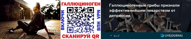 Галлюциногенные грибы GOLDEN TEACHER  Красный Сулин 
